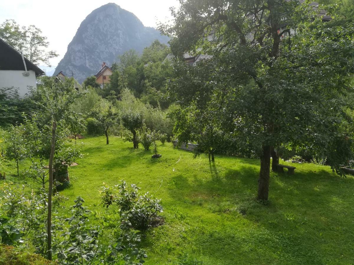 Apartma Pr Pekovcu Bohinj Esterno foto